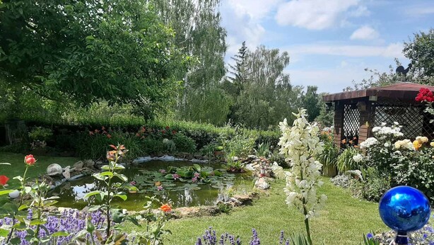 A garden with a pond, various flowers, and a gazebo. - Gästehaus Edelmann (Gelnhausen)