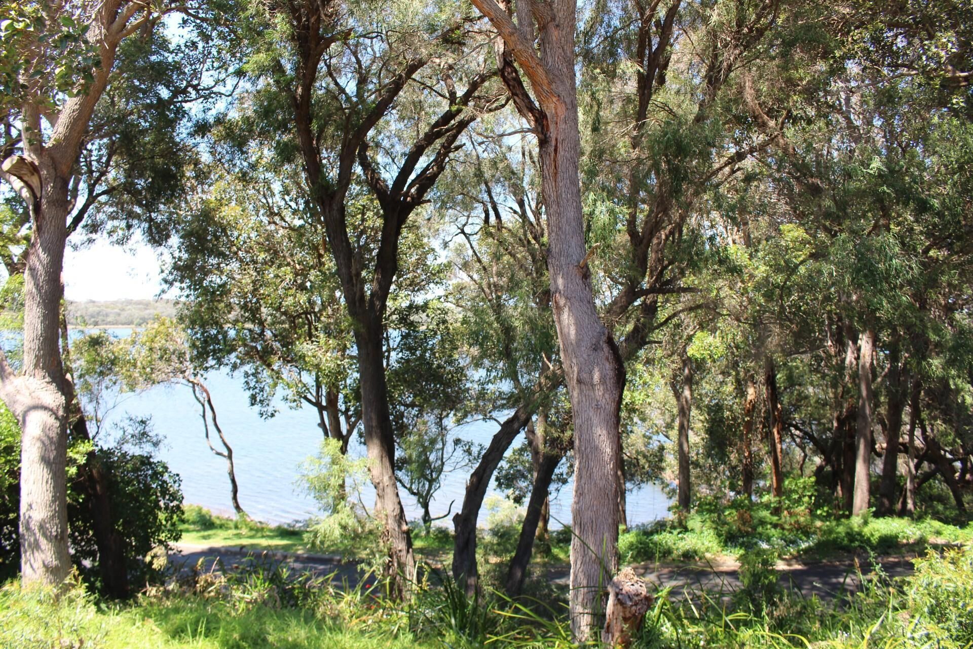 Riverscape Cottage No.11 - Riverscape - unit 11 with views over the Blackwood River and fire place — image 10