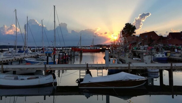 Ein Yachthafen mit vor Anker liegenden Booten, einer Holzsteganlage und Gebäuden im Hintergrund.