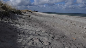 Ein Strand mit Fußabdrücken und vereinzelter Vegetation.