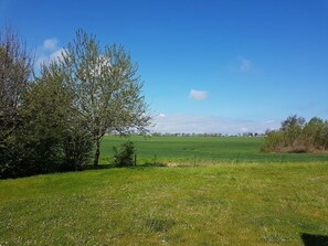 Unclassified image, 2 of 20, button - Dorow Ferienwohnung, Deutschland (Ostseebad Boltenhagen)