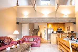TV, fireplace, DVD player, books
