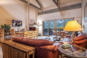 TV, fireplace, DVD player, books