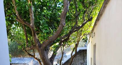 2 Tiny houses for 2 couples or Family