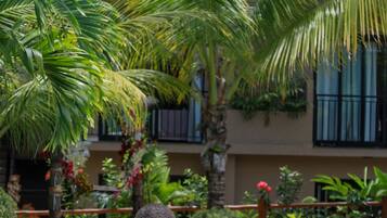 Outdoor pool, open 10:00 AM to 8:30 PM, pool loungers