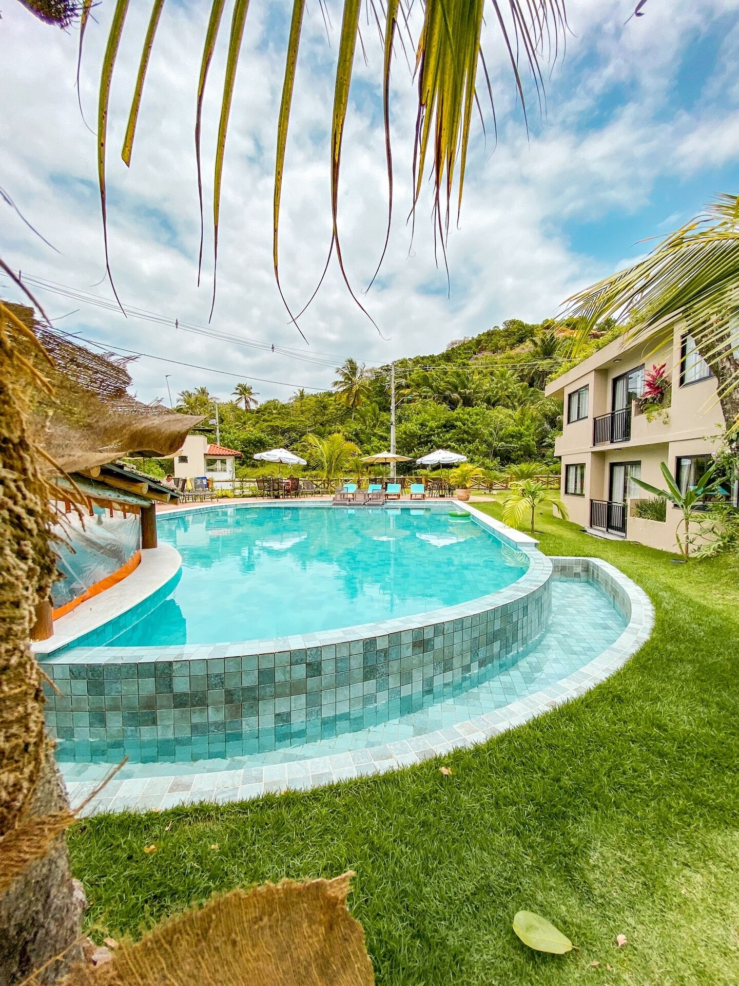 Ein Swimmingpool mit Fliesenrand, umgeben von gepflegtem Rasen und Palmen.