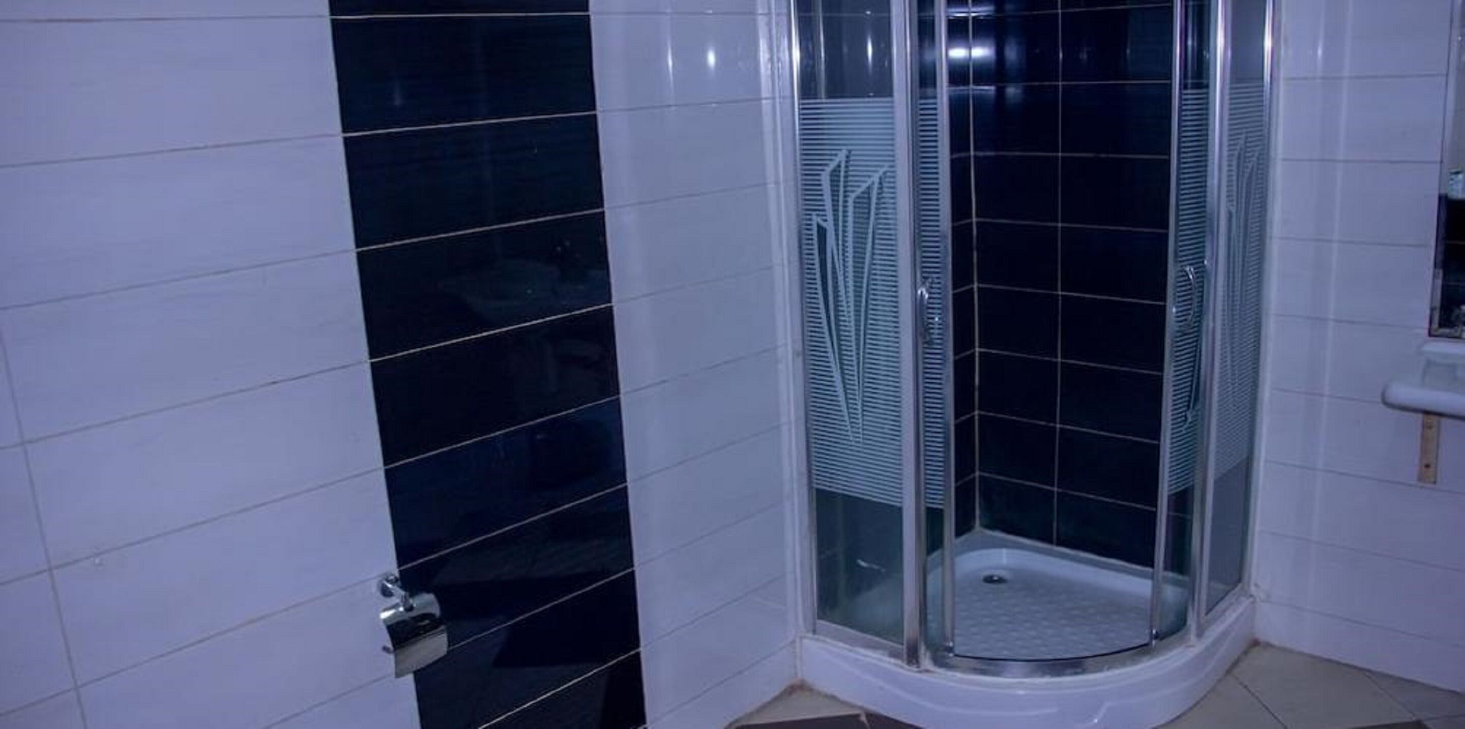 penthouse | bathroom | hair dryer, shampoo, toilet paper