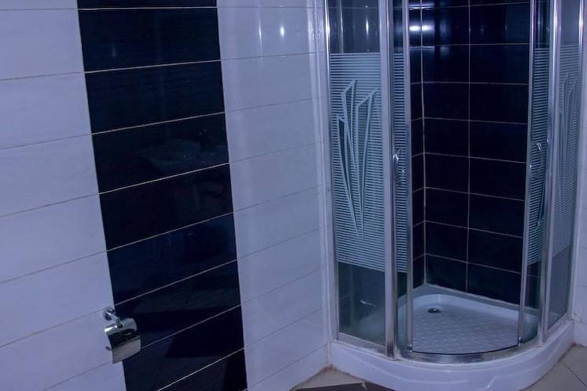 penthouse | bathroom | hair dryer, shampoo, toilet paper