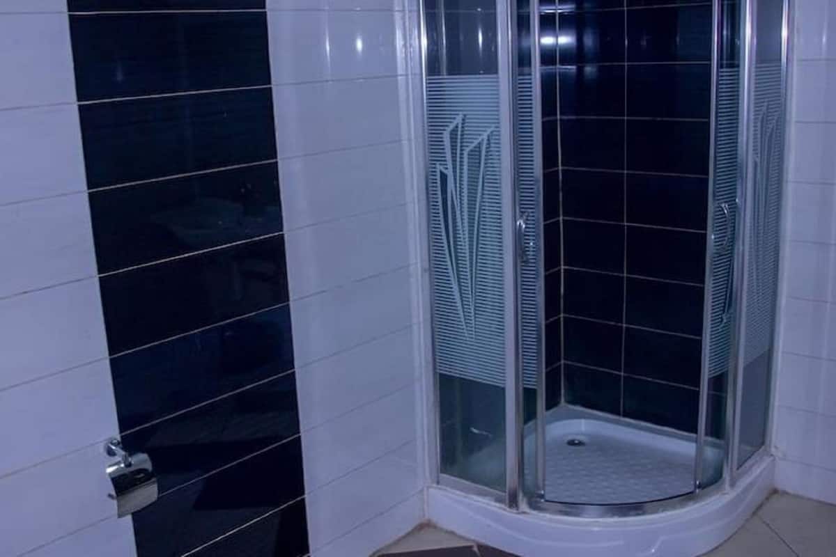 Penthouse | Badkamer | Een haardroger, shampoo, toiletpapier