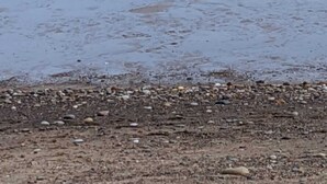 A beach with a rocky shoreline and wind turbines in the background. - 3 bed Caravan Approx 10 Mins From Beach Bill 1 (Hull)