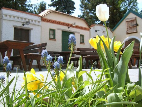 Jardín