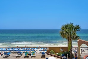 A beach view with lounge chairs and umbrellas, a palm tree, and a clear blue sky.
