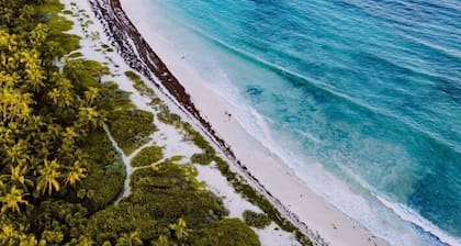 Enjoy Mayan Riviera in an authentic and friendly environment, beach & nature!