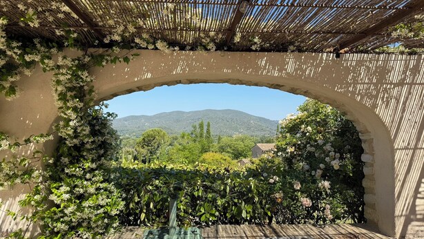 Una estructura arqueada con vistas a una montaña y follaje.
