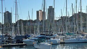 A marina with multiple sailboats docked, surrounded by high-rise buildings. - BAYSIDE BLISS - PRIVATE & TRANQUIL WITH VIEWS, AIR CONDITIONING AND LIFT (Rushcutters Bay)