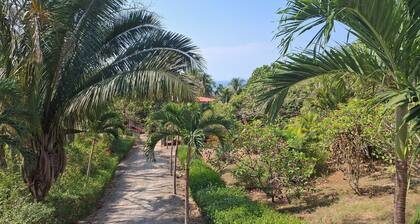 Beautiful home with ocean views