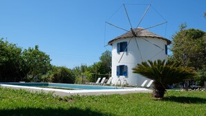 A white building with a thatched roof, a swimming pool, and lounge chairs.