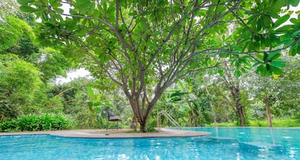 Beyond Stay Mahua Vann Pench