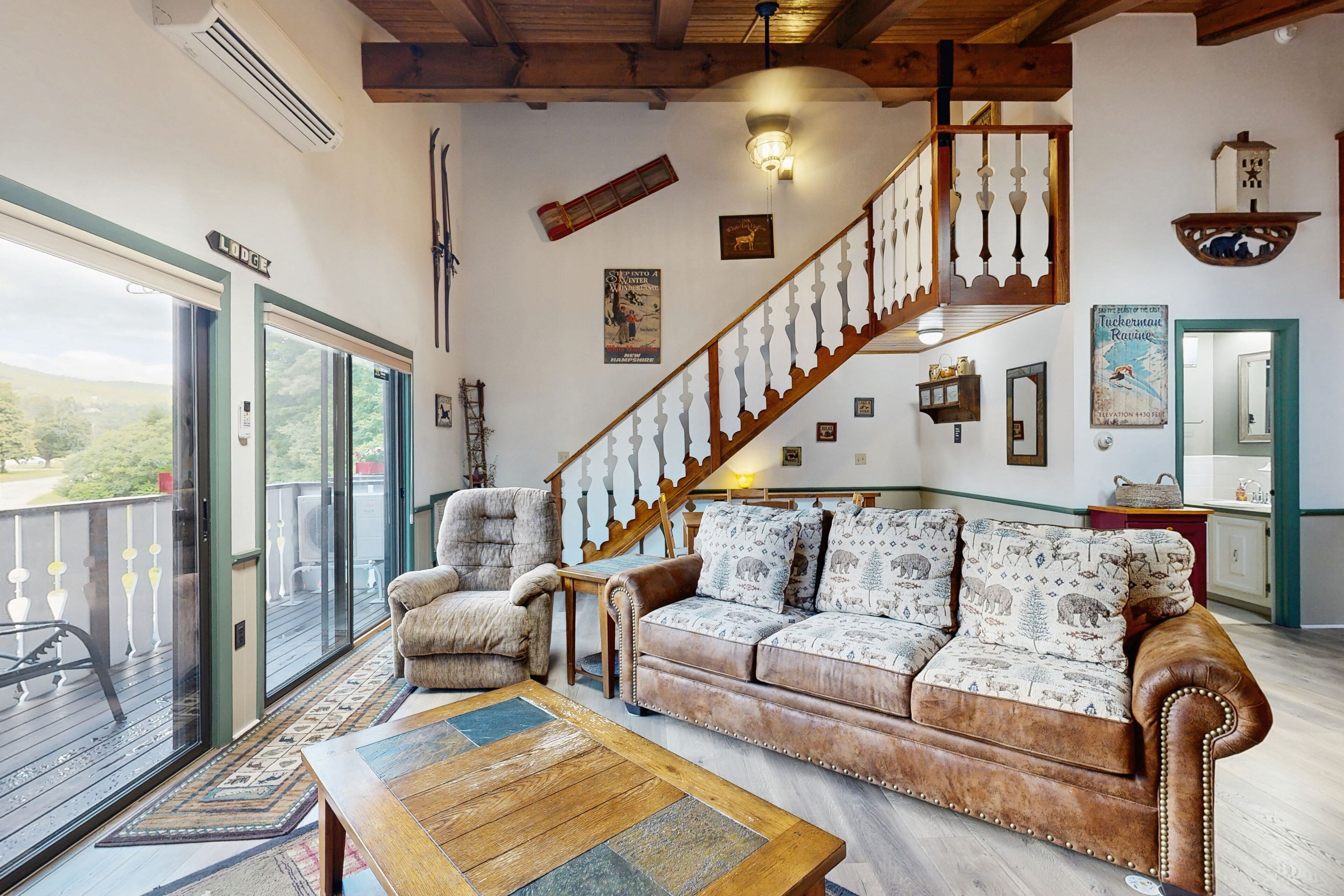 TV, fireplace, video games, books