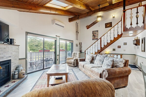 TV, fireplace, video games, books