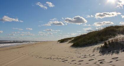 SALVO STARRY NIGHTS Beach House Bliss 5 min walk to beach
