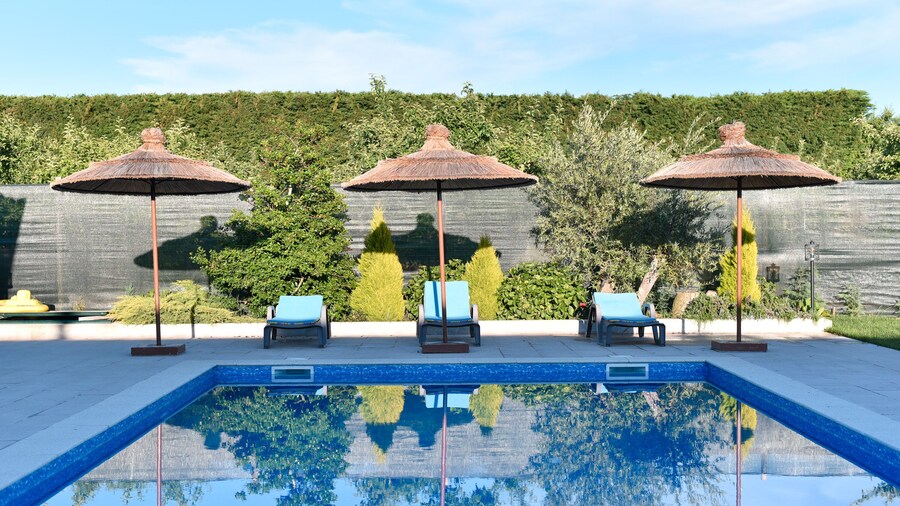 Feel Discovery Maçã Douro