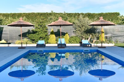 Feel Discovery Maçã Douro