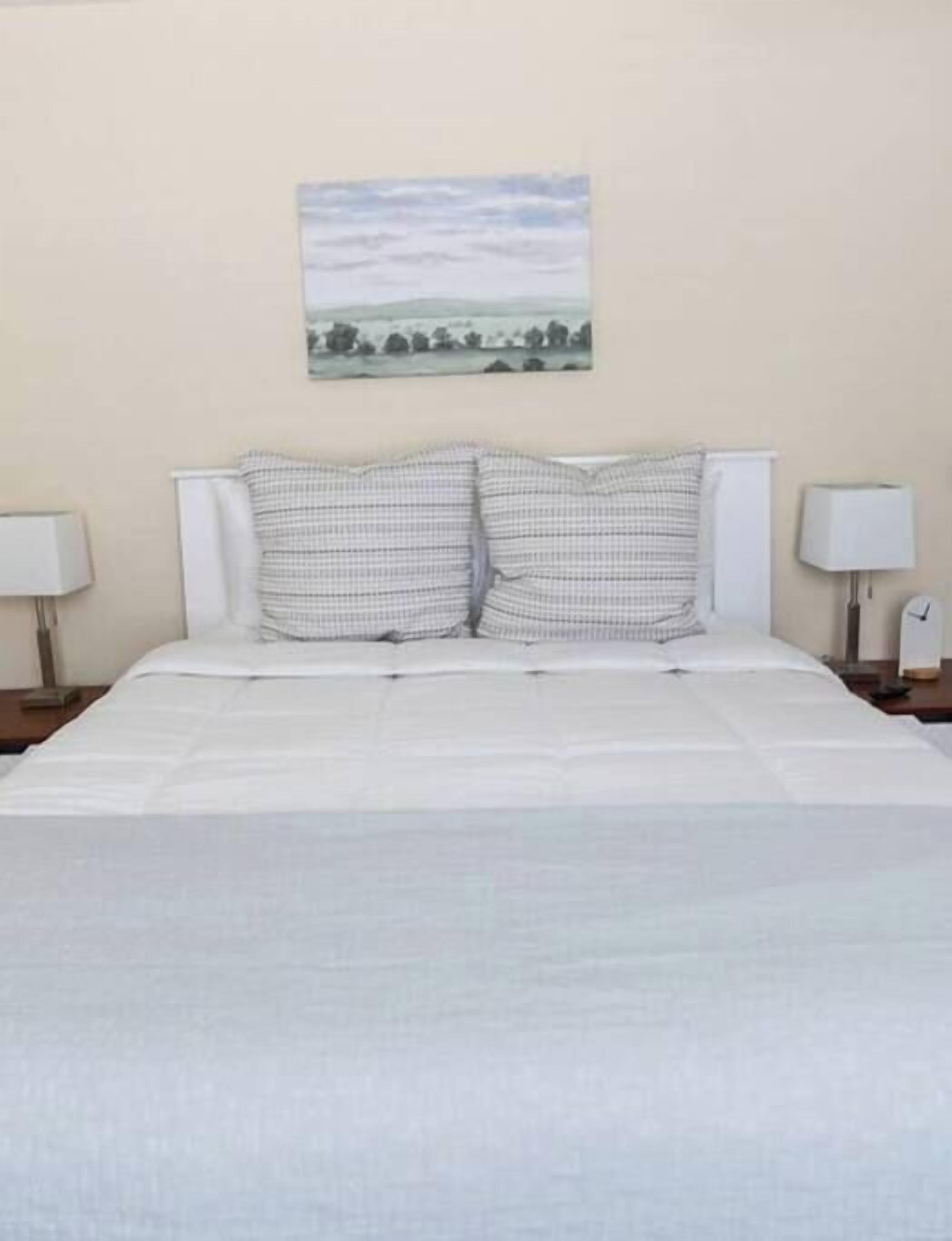 A bed with a white bedspread and two checkered pillows, flanked by two bedside tables with lamps, in a room with a plain wall and a landscape painting.