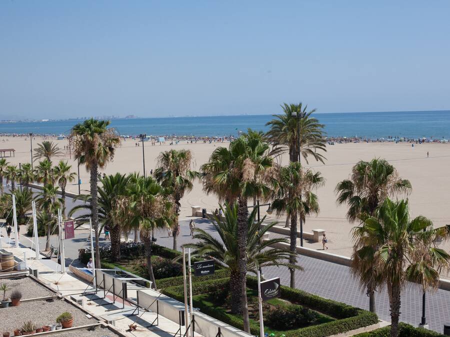 En la playa, arena blanca, 5 bares en la playa