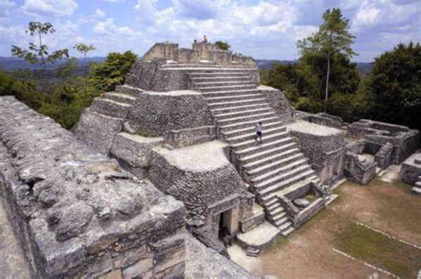 An ancient stone pyramid with a staircase leading to the top, surrounded by trees and a clear sky.