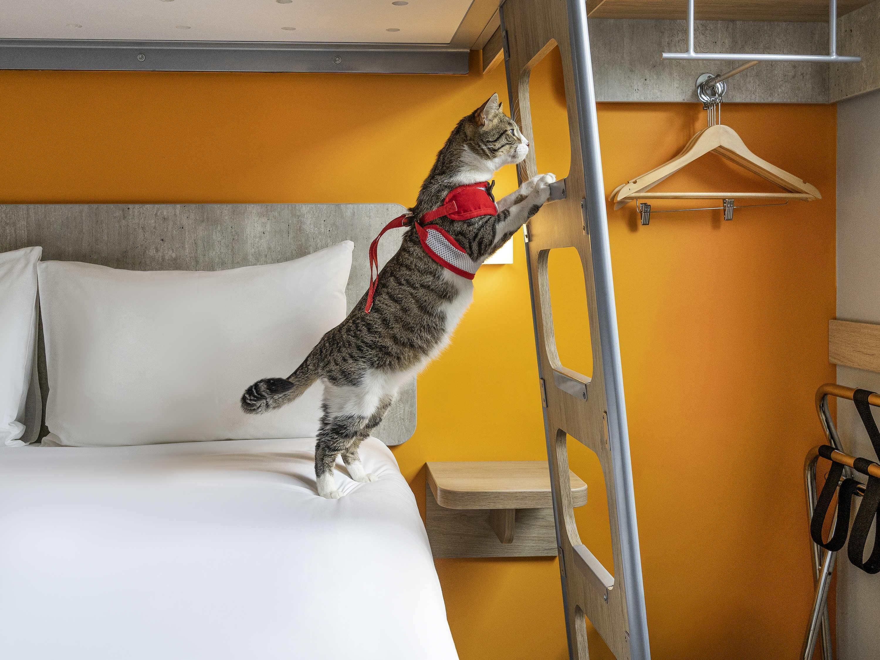 Photo - ibis budget Lima Miraflores