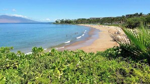 Una playa con agua azul cristalina, una orilla arenosa y abundante vegetación.