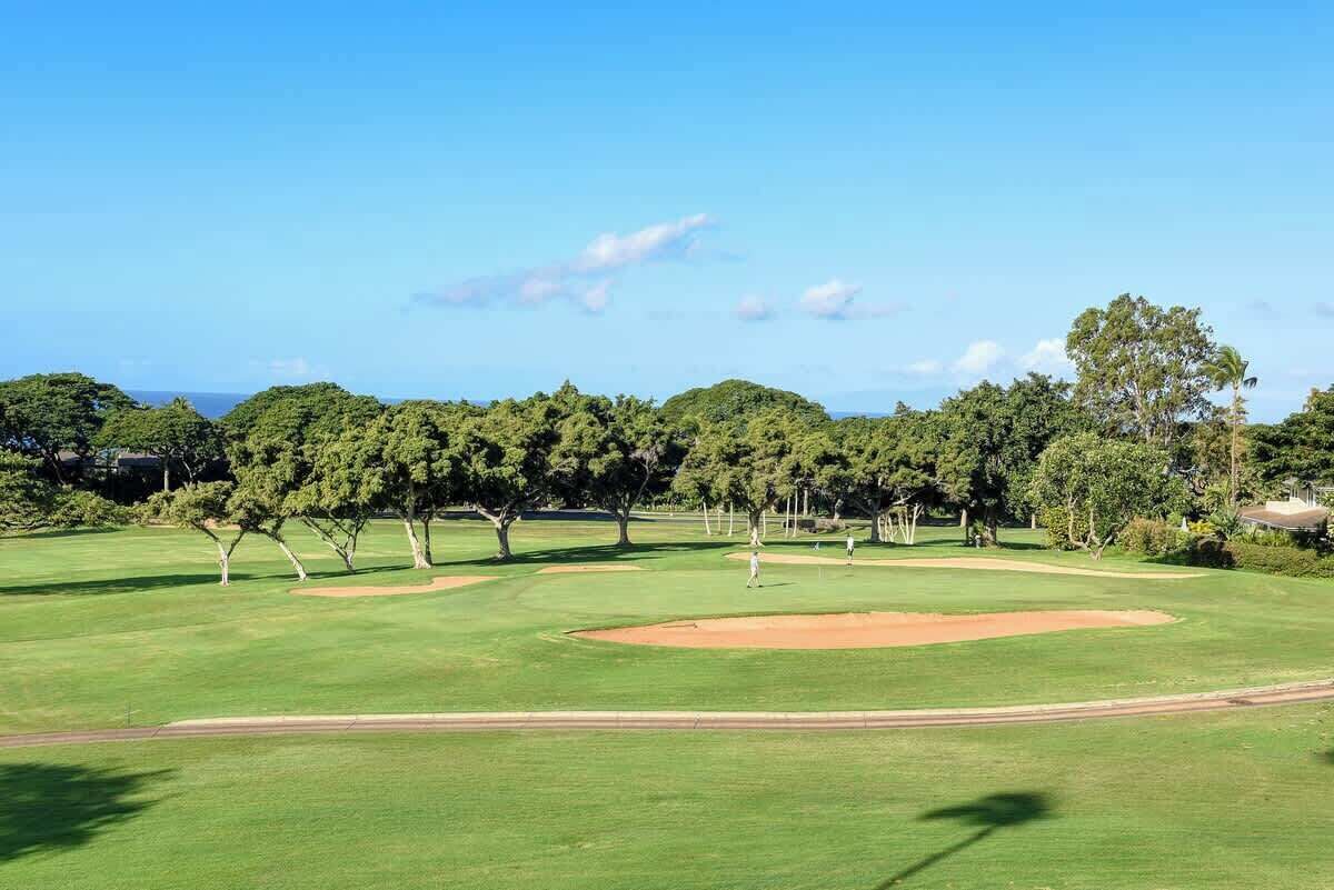 Un parcours de golf avec un ciel dégagé, des arbres et un terrain verdoyant bien entretenu.
