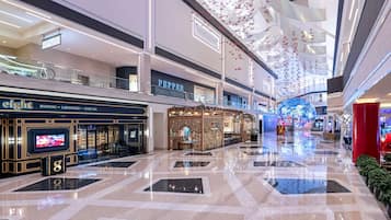 Servicio de la propiedad