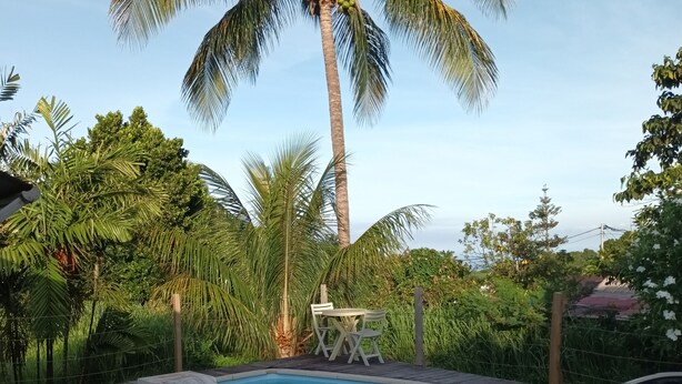 A swimming pool with a wooden deck, surrounded by lush greenery and palm trees. - "LE TI-COLIBRI" CHARMING BUNGALOW at the foot of "La Soufrière" volcano (Saint-Claude)