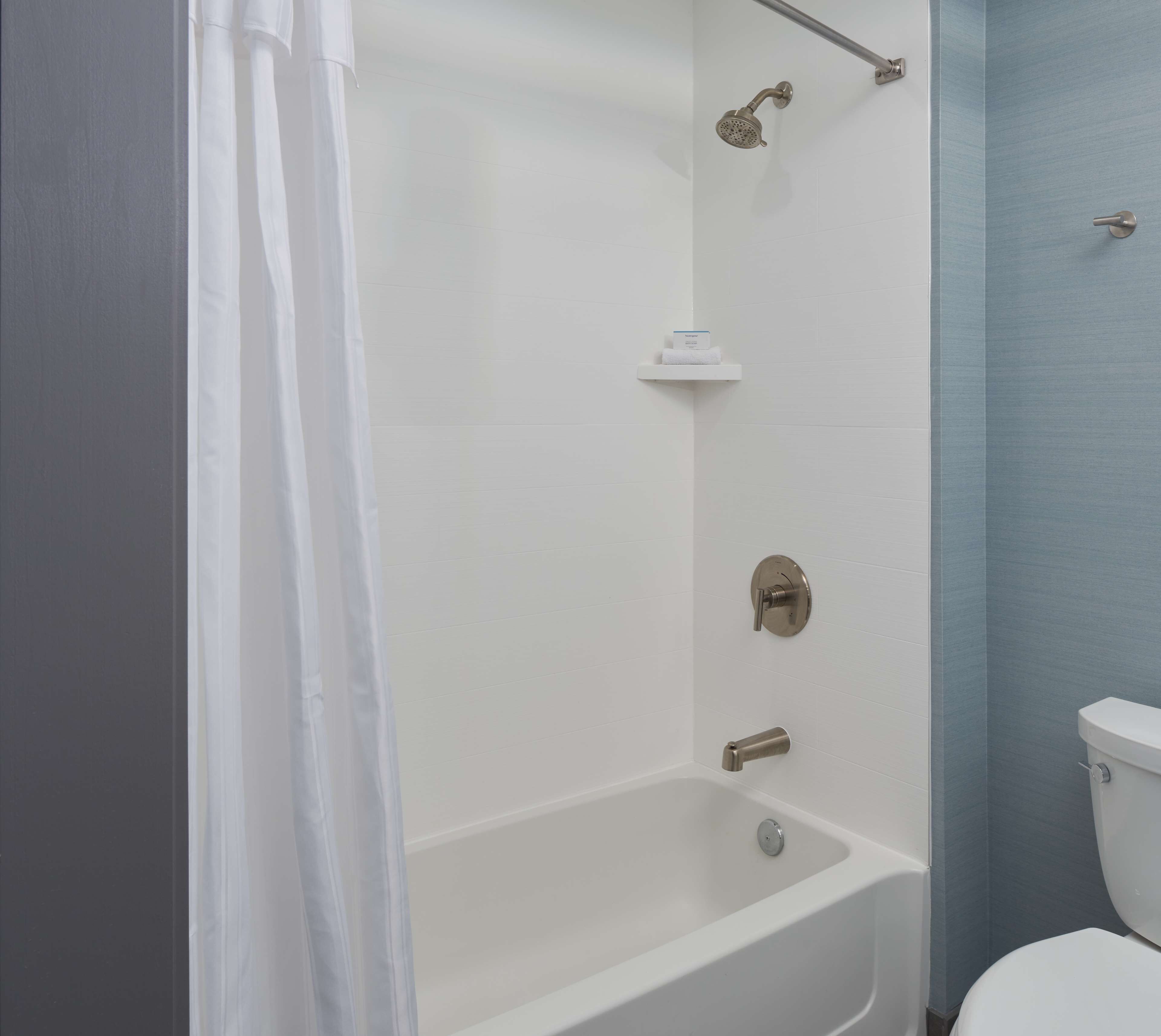 A bathroom with a bathtub, a showerhead, and a toilet.
