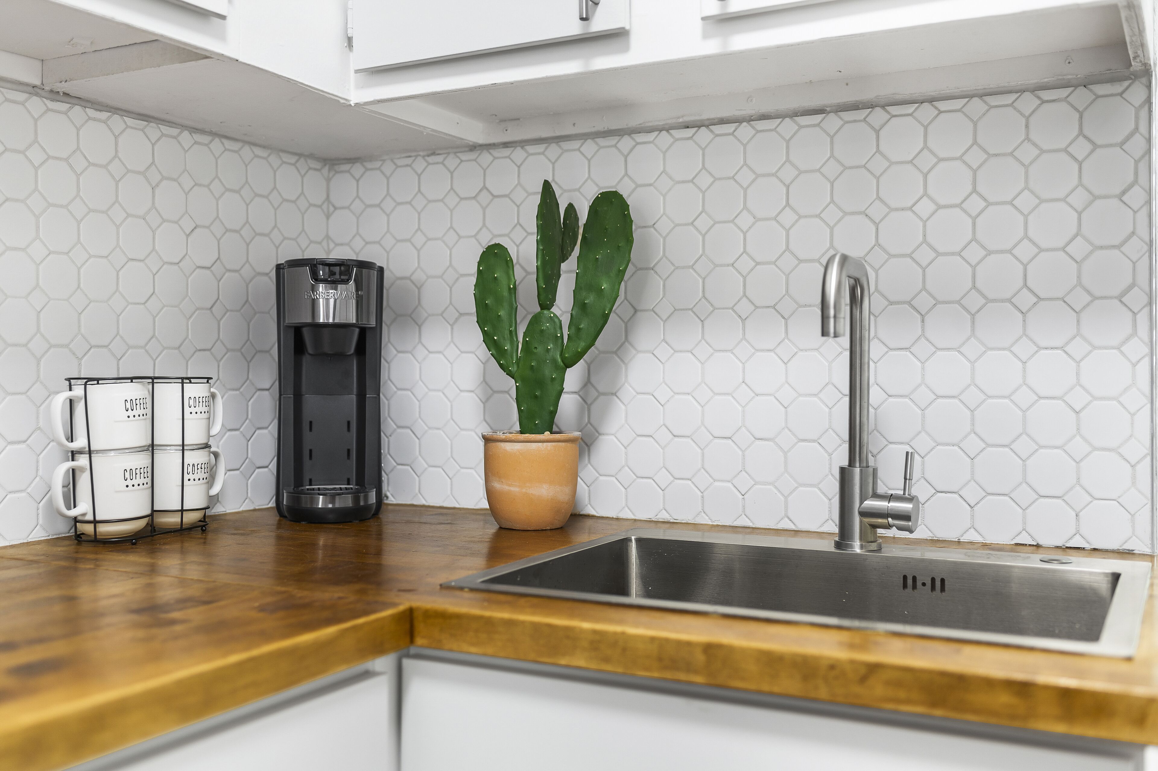 A kitchen with a coffee maker, a cactus, and a sink.