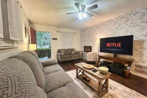 TV connectée, lecteur de DVD, livres, vidéothèque