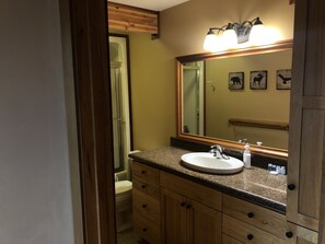 Combined shower/bathtub, towels, soap, toilet paper - Lutsen Forest Chalet - Minutes to Lutsen Ski Resort - EV Charger (lutsen)