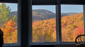 Enjoy a peaceful forest view from the large windows in this functional room.