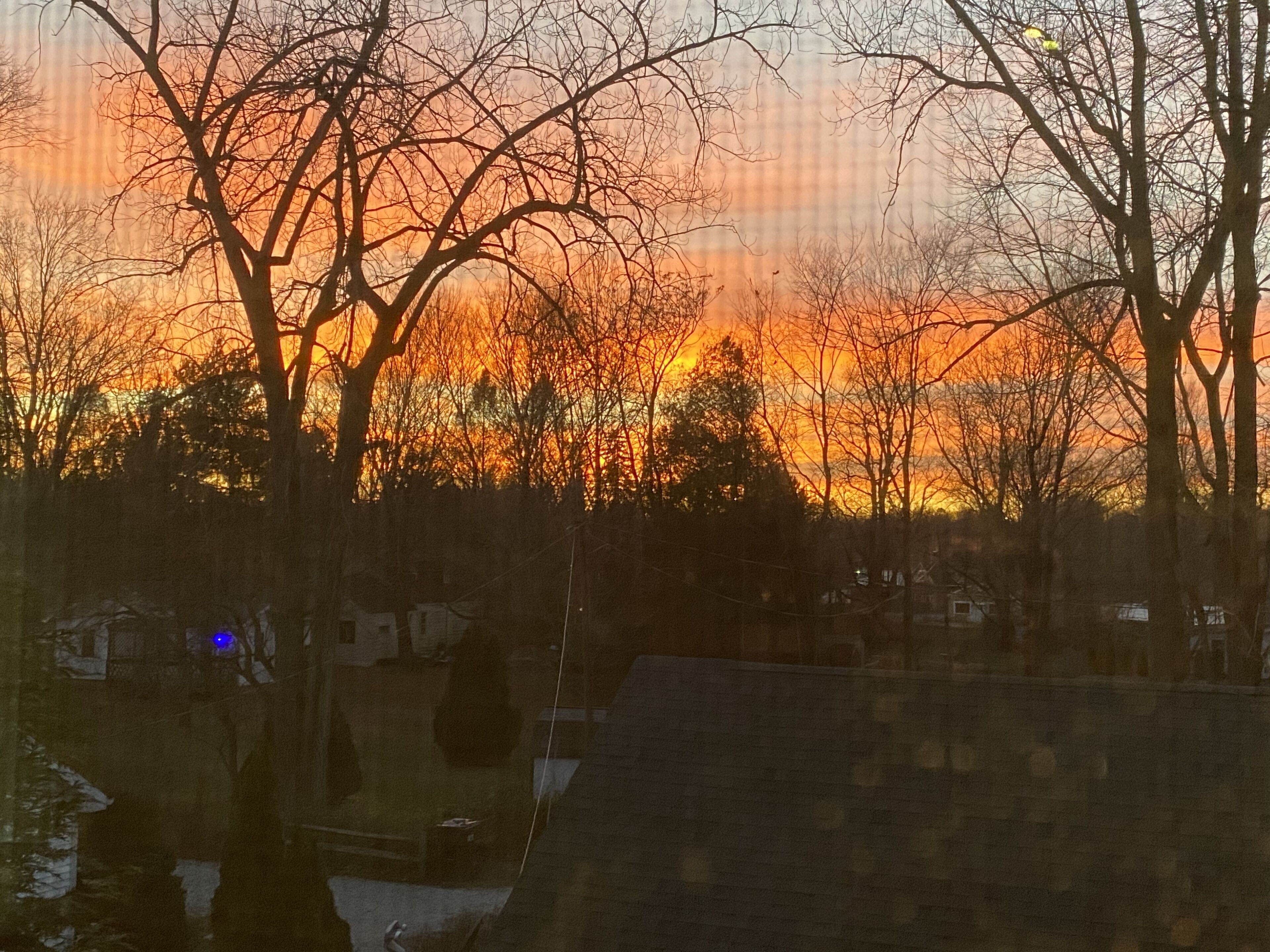 A residential area with houses and trees during sunset.