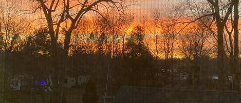 A residential area with houses and trees during sunset.