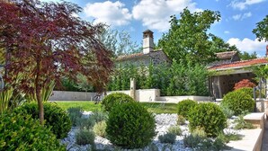Un giardino curato con arbusti diversi e un vialetto in pietra.