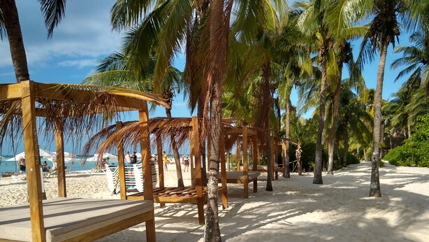 Een strand met houten banken en palmbomen.