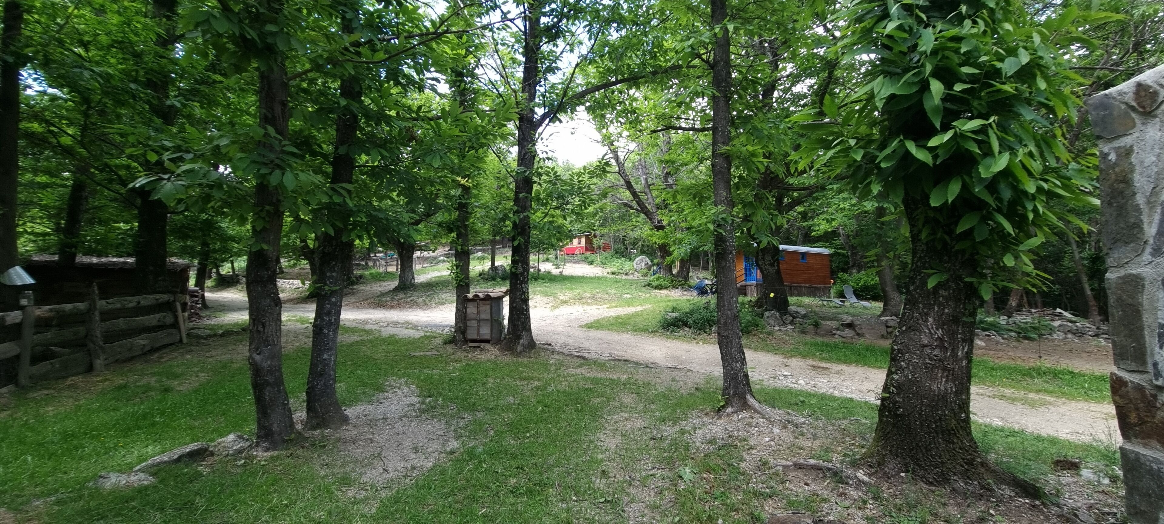 室外泳池、暖水池