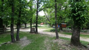 Un espacio al aire libre rústico con un sendero de tierra, una cerca de madera y una pequeña construcción de madera.
