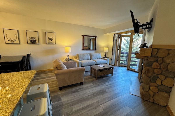 Living room with queen pull out sofa