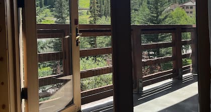 5 Star, 1 Bed + Den & 2 Baths in Center Village Copper Mountain