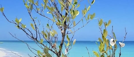 躺椅、沙灘巾