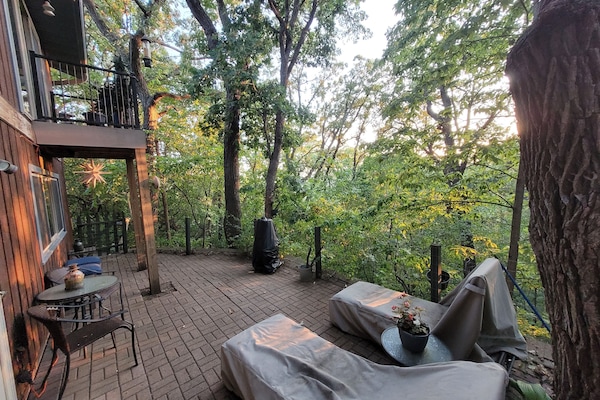 Back patio, downstairs. Fenced but not escape-proof if your pup is a Houdini.